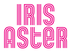 Iris Aster